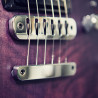 Lockbridge bridge and tailpiece                        