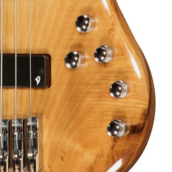 Electronic Arpege IV  4 and 5 string                   