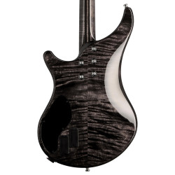 Electronic backplate Arpege and Passion 4 and 5 string 