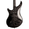 Electronic backplate Arpege and Passion 4 and 5 string 