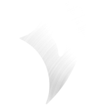 Vigier parts